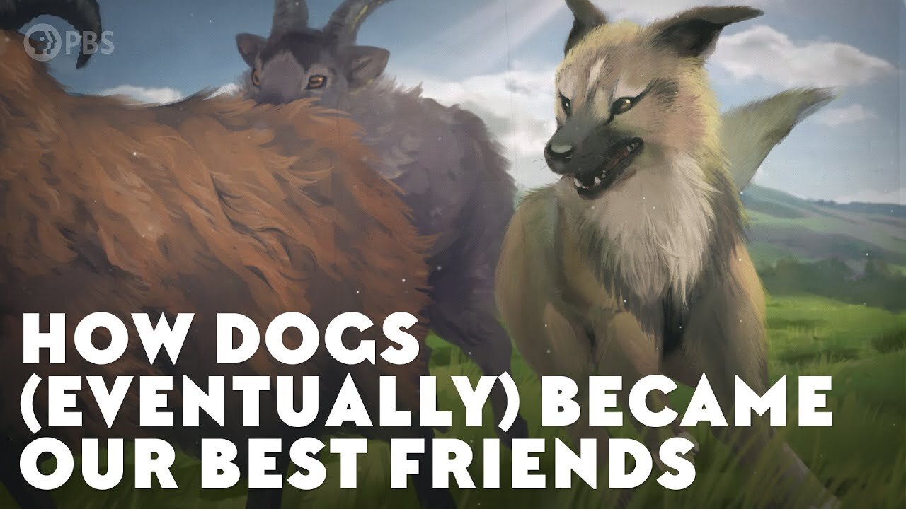 How Dogs (Eventually) Became Our Best Friends