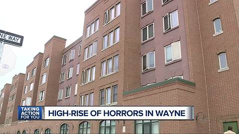 High rise horrors in Wayne
