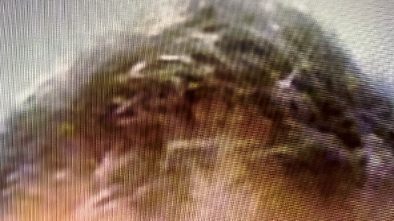 Tony Pizzas balding head!