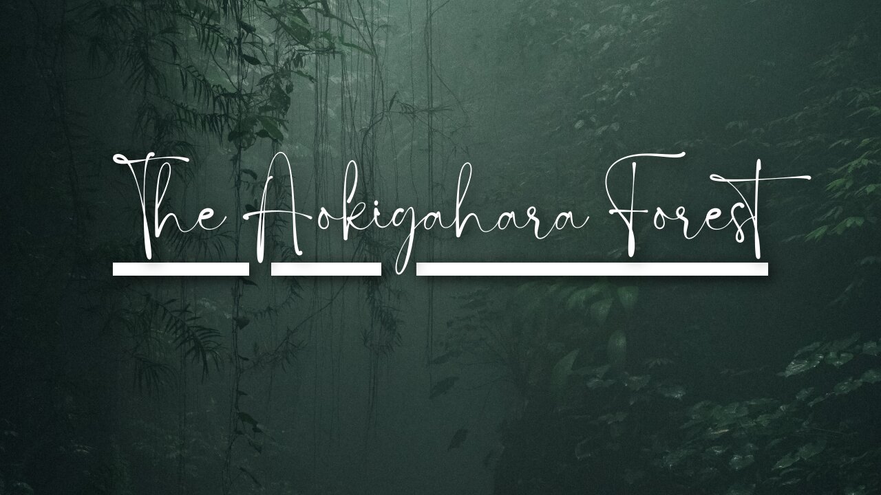 The Aokigahara Forest