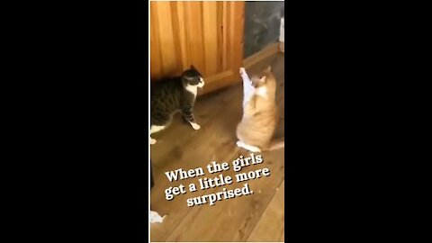 When the girls get a little more surprised. #short, #shortVideo