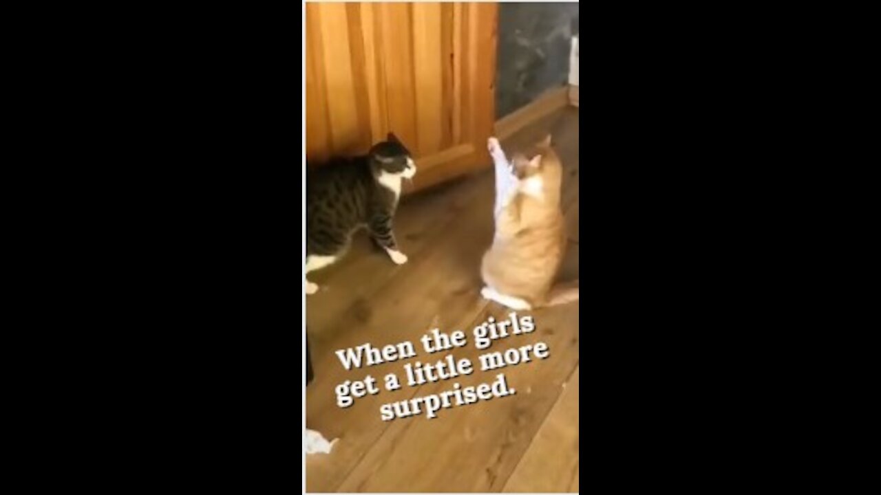 When the girls get a little more surprised. #short, #shortVideo