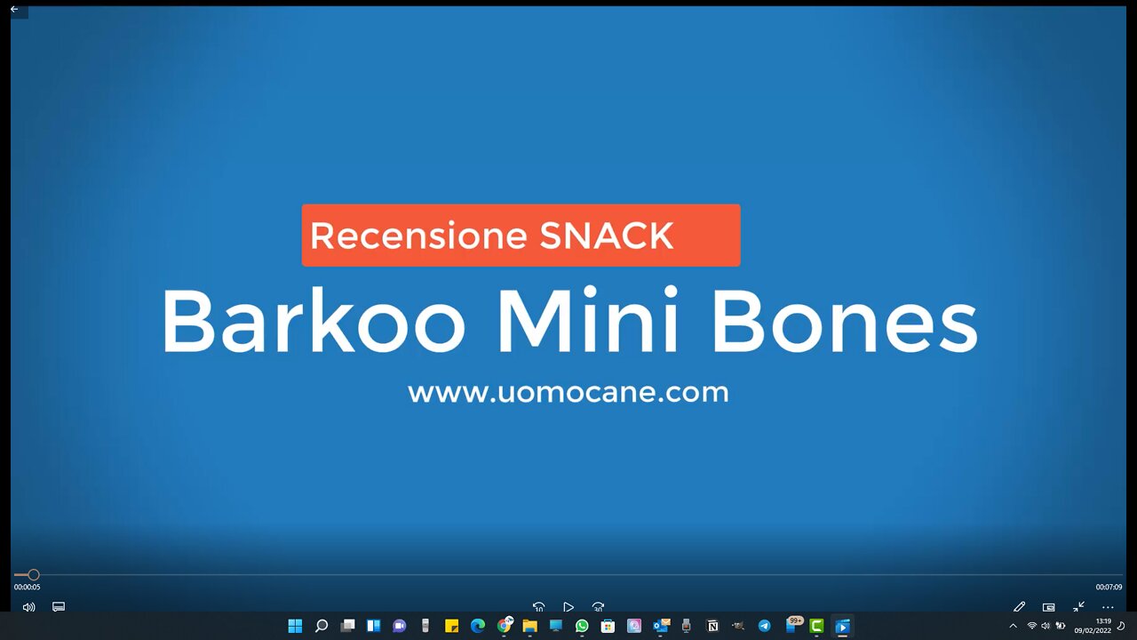 Recensione degli snack per cani minibones