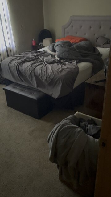 Cute dog hiding under the blanket