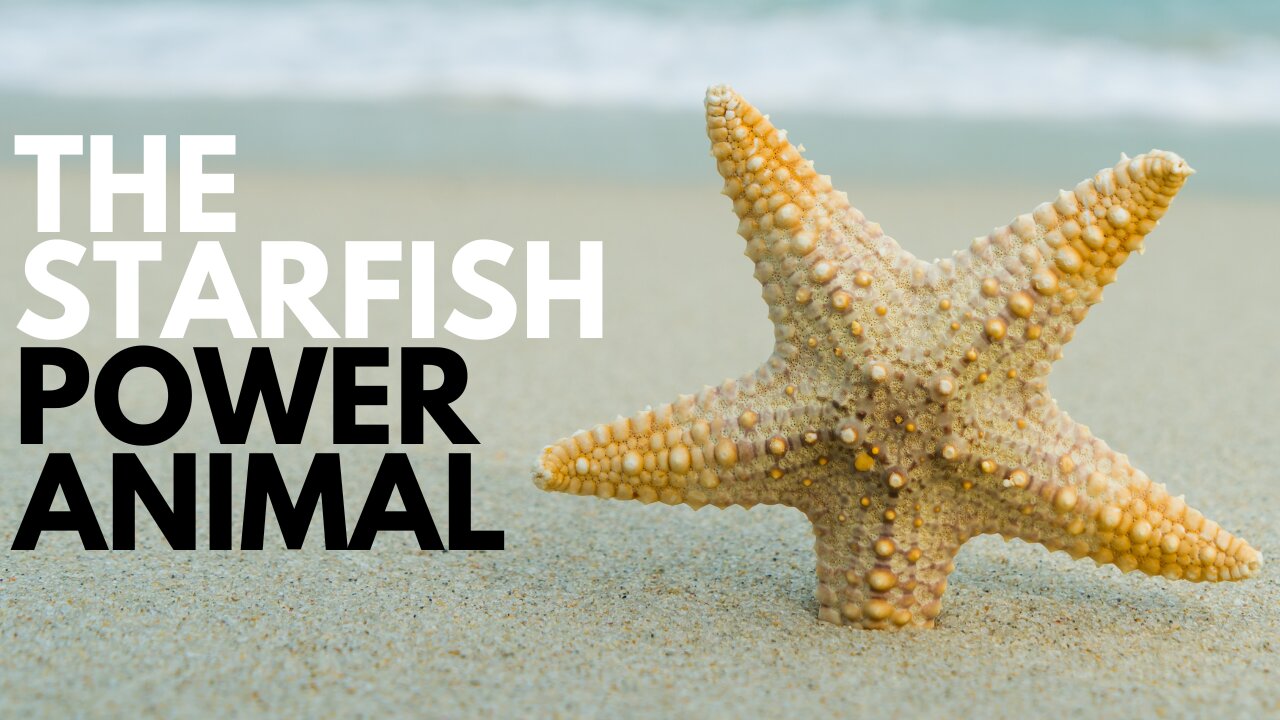 The Starfish Power Animal