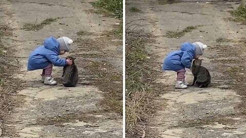 Little Girl Shares Sweet Moment With Cute Kitten