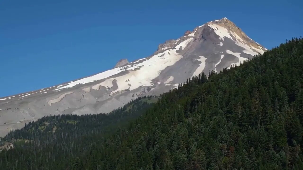 Oregon beautiful scenery city trees and flowers !! 9