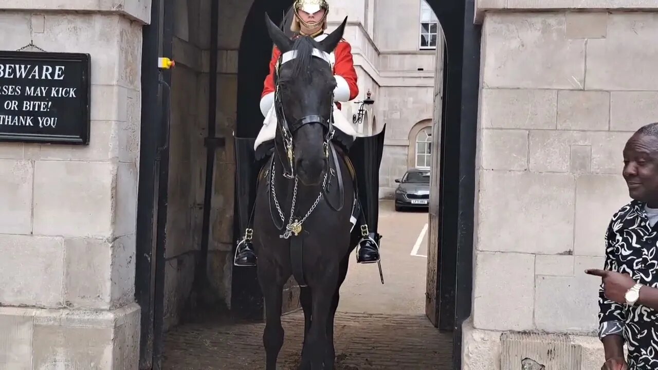 Tourist telling tourist to watch the ears #horseguardsparade