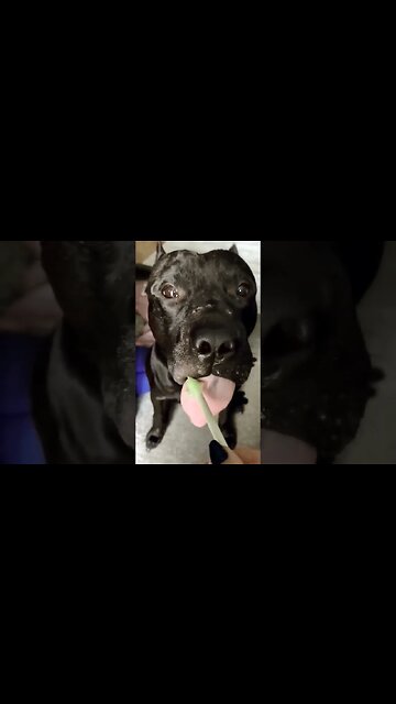 амстаф чавкает :-)