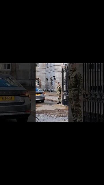 Guard saluts High ranking officer's #horseguardsparade