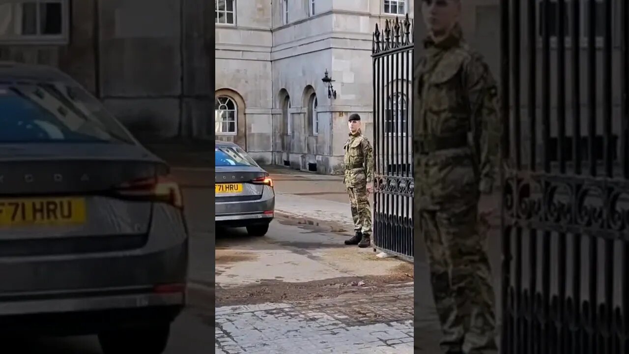 Guard saluts High ranking officer's #horseguardsparade