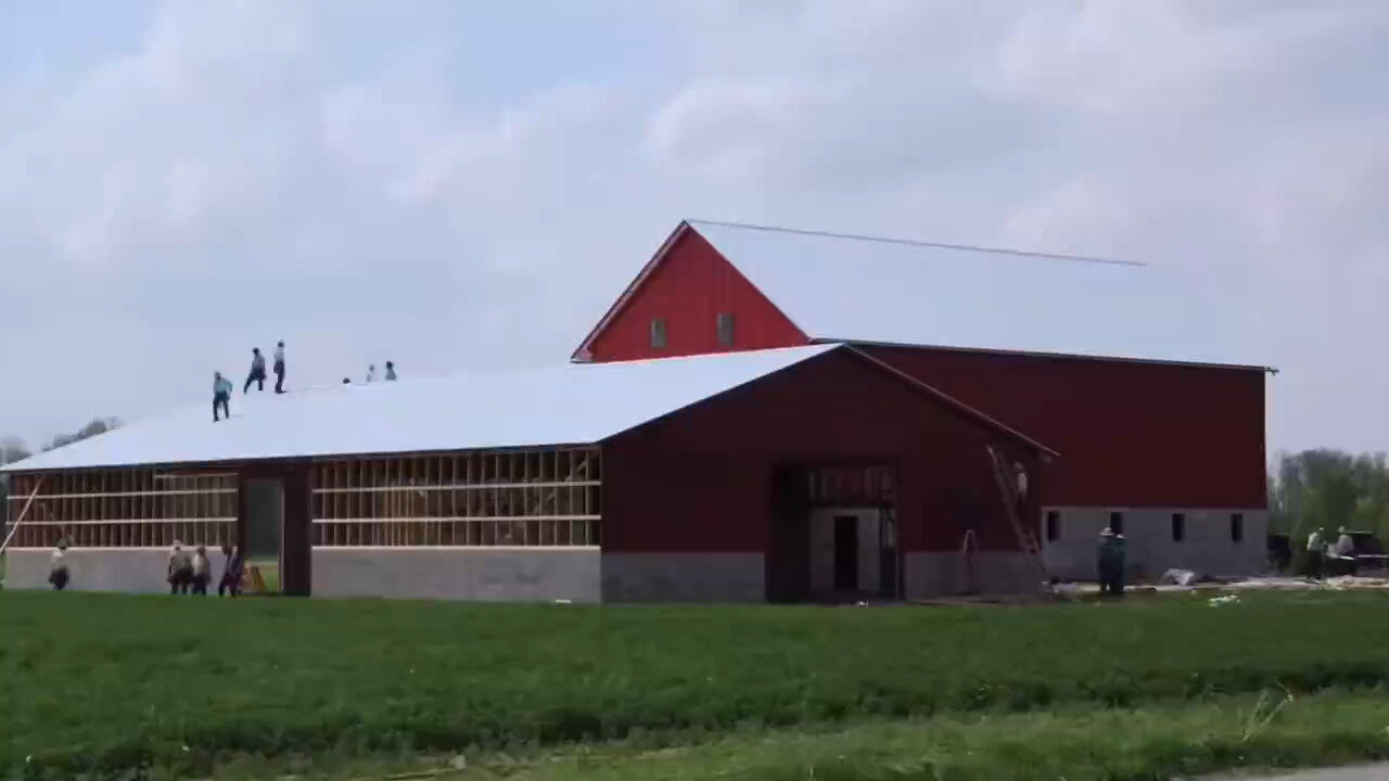 Amazing Footage Showing Medium-Sized Colony Of Amish Entirely Devour A Barn In Less Than 12 Hours