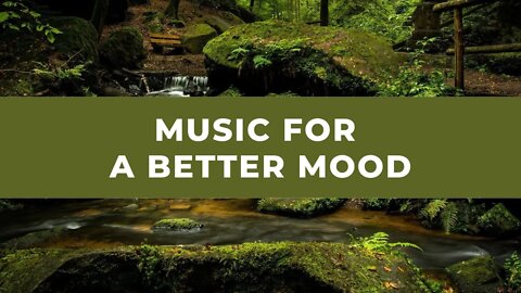 Music for a better mood | Nature Video | Beautiful Forest