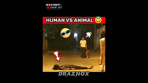 human vs animal