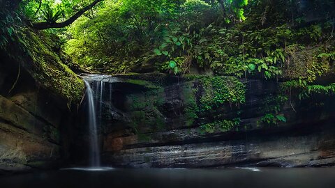 Flauta Indígena e Sons da Natureza | Repouso e Meditação | Durma Profundamente