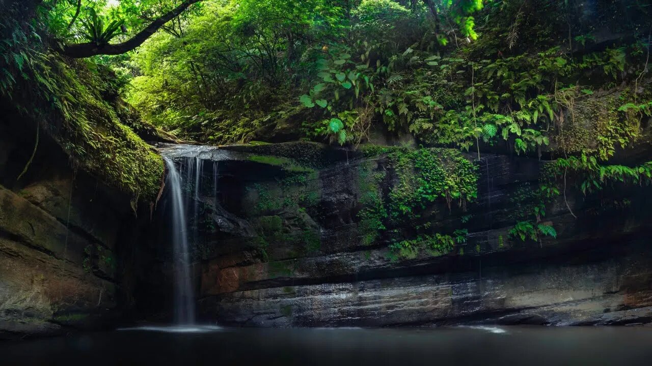 Flauta Indígena e Sons da Natureza | Repouso e Meditação | Durma Profundamente