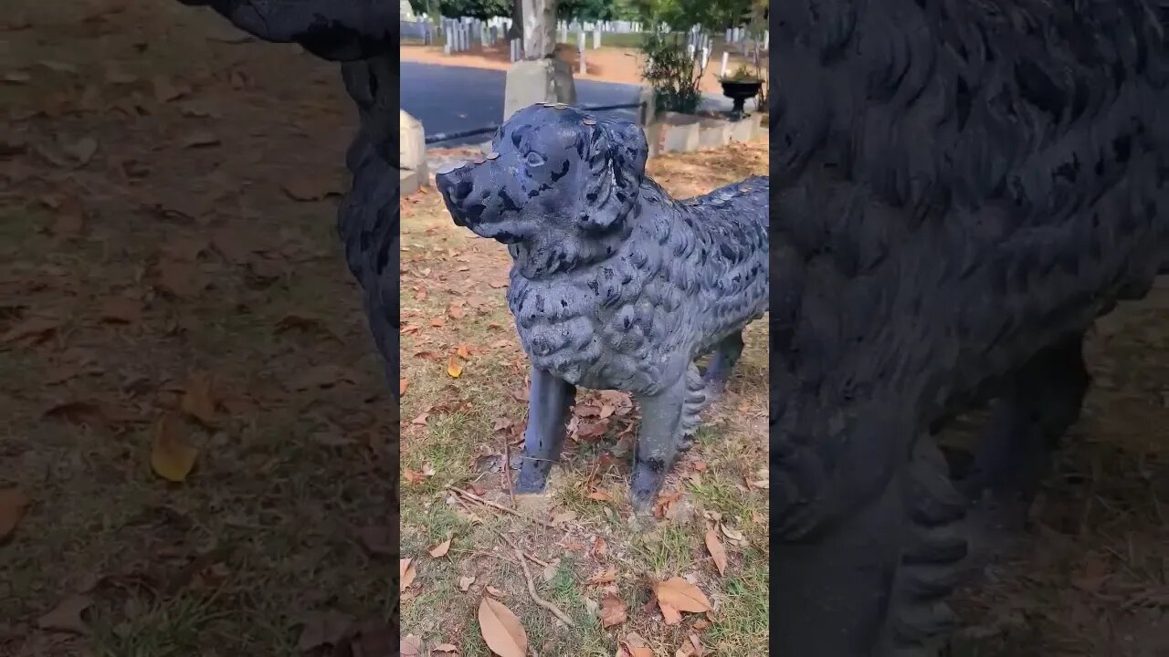 This loyal dog stands watch over a young girl's grave in Richmond, Virginia.