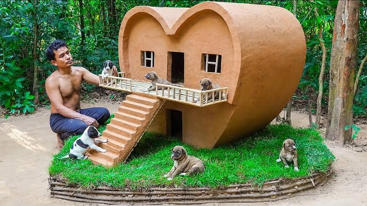 Dog rescue and build Loving Dog House - Build House for Puppies