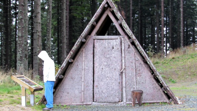 Humble dwelling covered with bark called Skorjanka - Pohorje, Kope, Slovenija