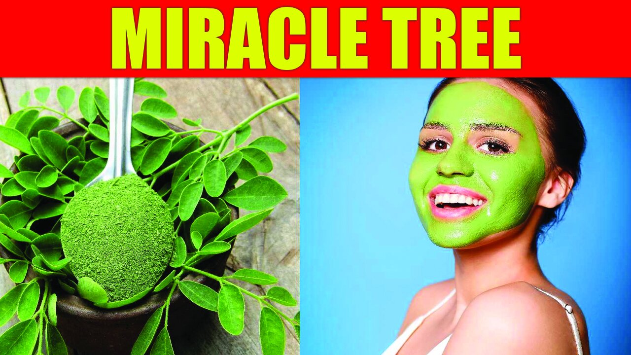 🌿 The Miracle Tree That Will Change Your Life Forever! 🌟 #Moringa #NaturalRemedies #MiracleTree