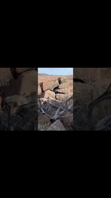 Controlled elk hunting 2022 cave like rock structure rediscovered