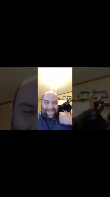 Kitty is Happy 😊 #shorts #shortsvideo #shortsfeed #youtubeshorts