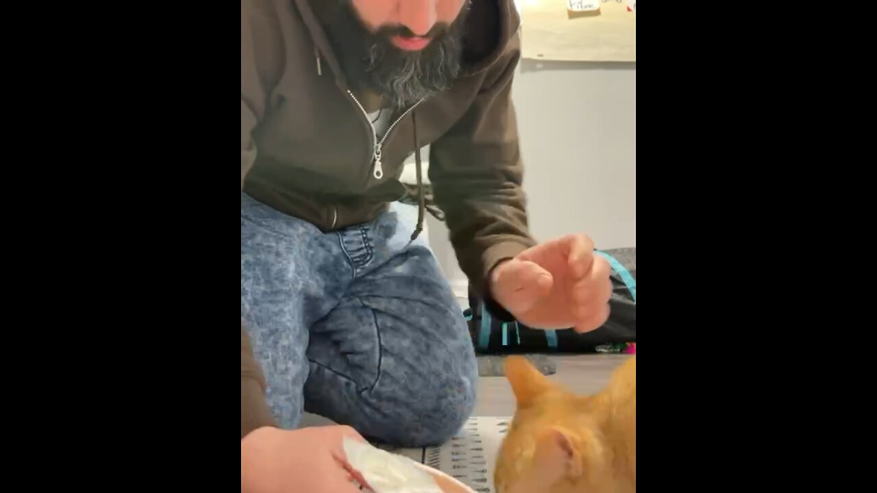 Take care of your pet,show them love and don’t beat them up just for like it😻😼😺😎