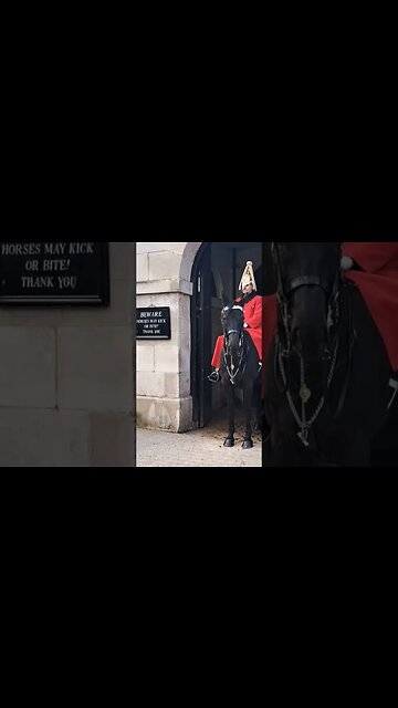 horse in a bad mood #thekingsguard