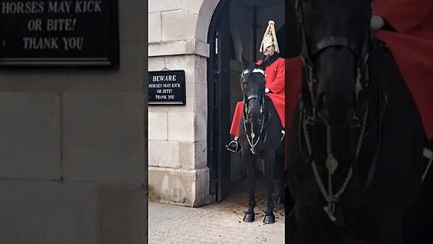 horse in a bad mood #thekingsguard