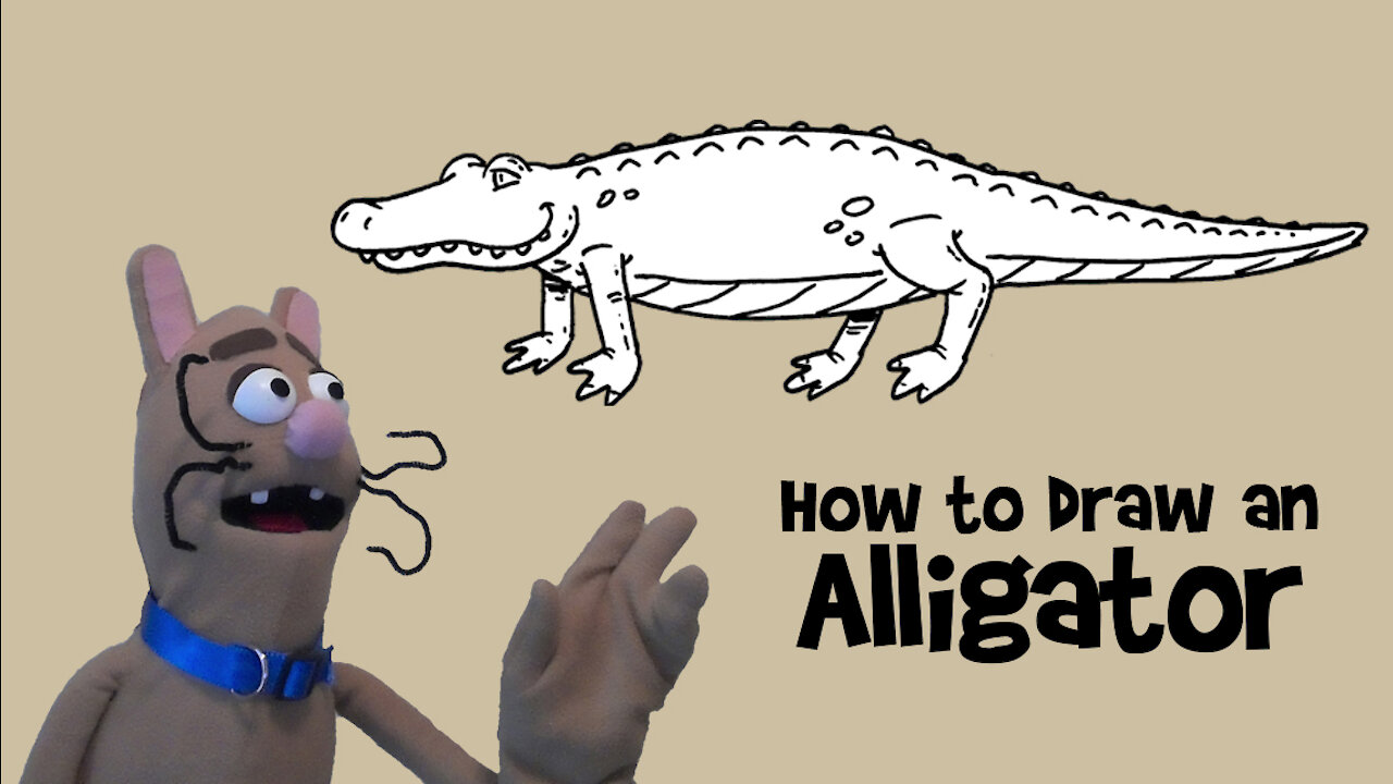 How to Draw an Alligator