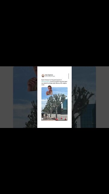 Universal studios illegally trims trees to deny shade to striking workers