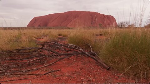 🇦🇺 🦘Why Australia was SO MUCH SCARIER in the Past! 😱 🇦🇺