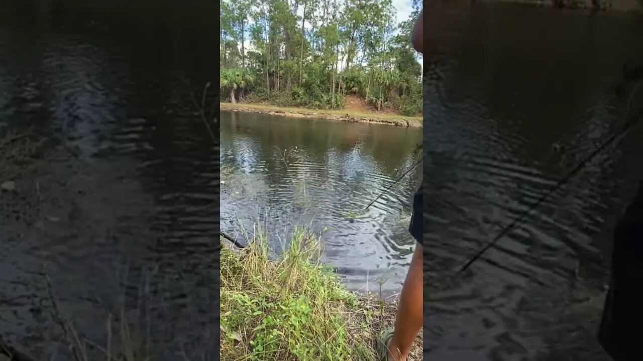 Cast net videos coming up 🔥