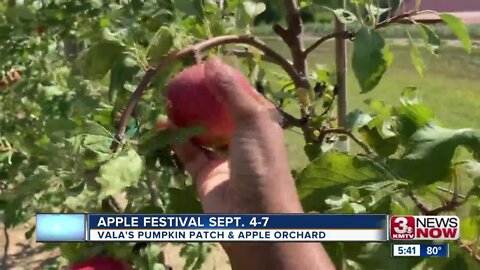 Apple Festival Sept. 4-7