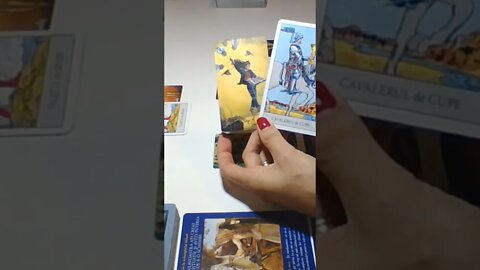 Mesaje Balanta Noiembrie - Decembrie