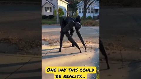WHAT in the WORLD is this???