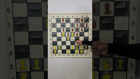 Can You Trap the Queen in This Chess Game?