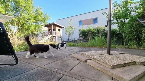 Highlight 2:29:32 – 2:34:32 von Silent Long LIVE for wh update in the garden @TravelGeorge #ghit