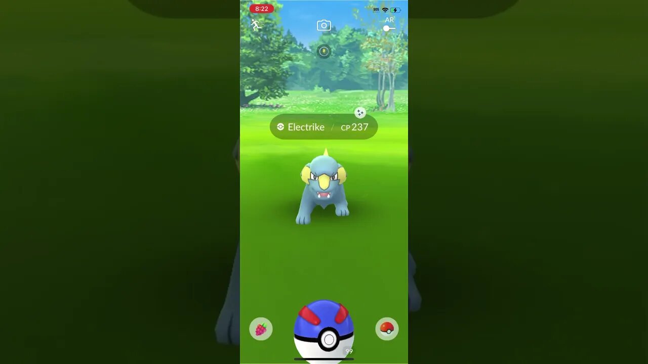 Shiny Compilation