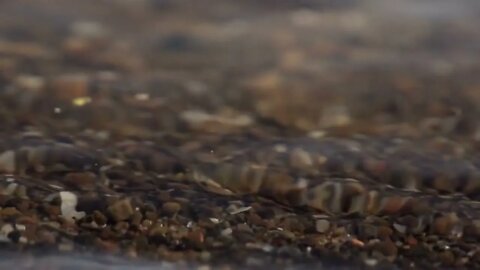 Beachfront B Roll Shoreline Close Up Free to Use HD Stock Video Footage