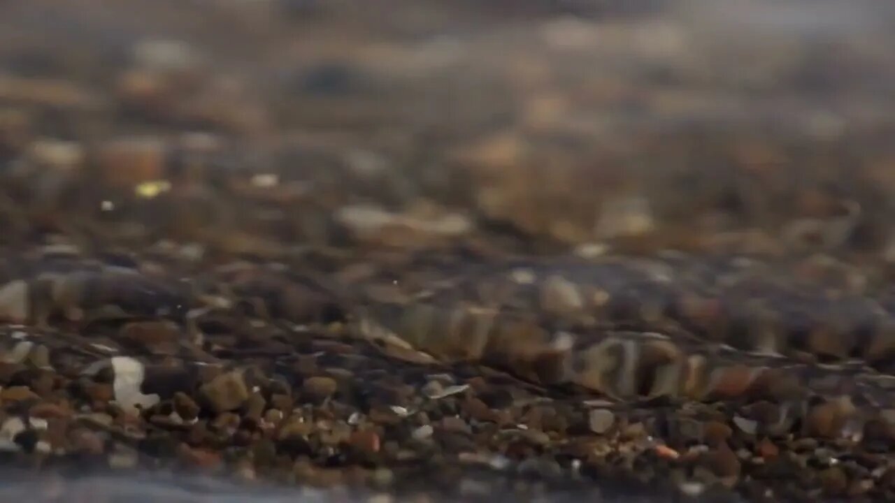 Beachfront B Roll Shoreline Close Up Free to Use HD Stock Video Footage