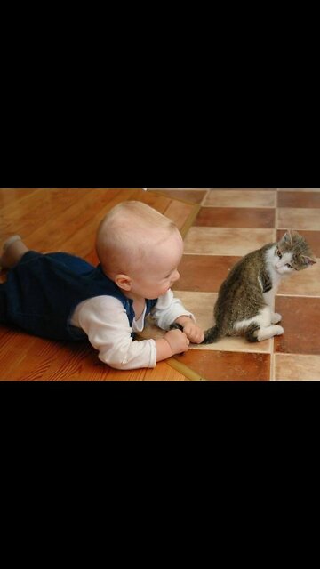 Cute Baby playing with Animals | #shorts #baby #CoolBaby #Cutebaby #animals