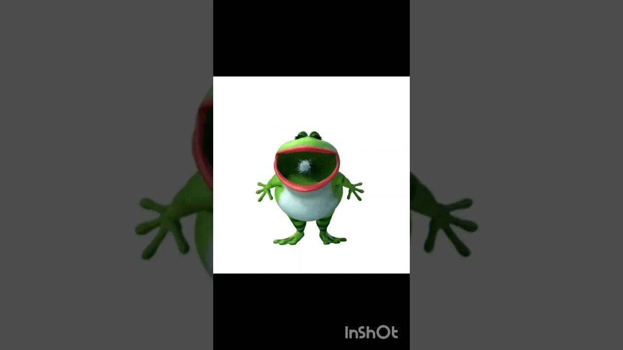 O sítio da Dona Candoca