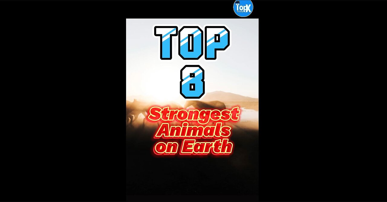 TOP 8 of the strongest animals on Earth!