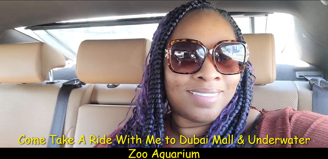 Come Take A Ride With Me To Dubai Mall & Underwater Zoo Aquarium 2023