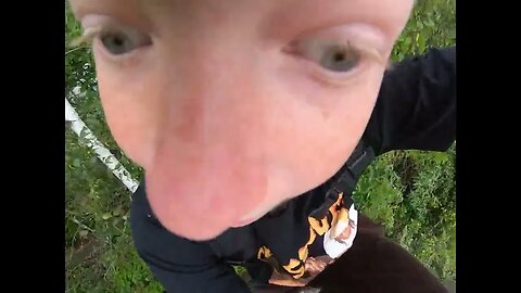 climbing trees - POV Silly Skylar