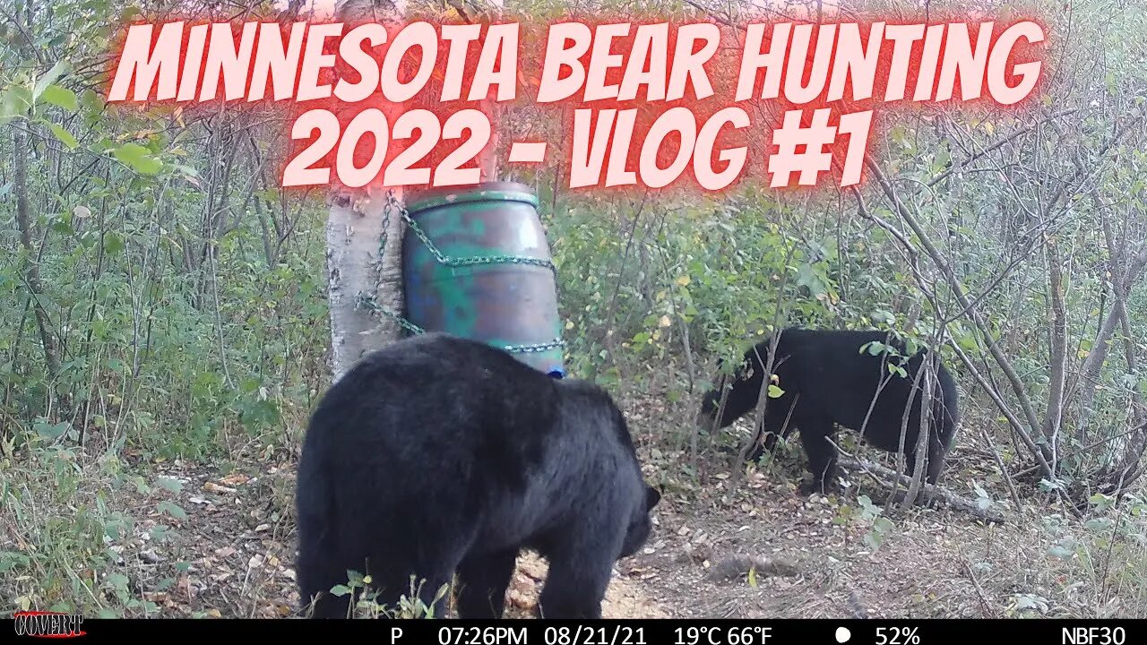 Minnesota Bear Hunting 2022 VLOG #1