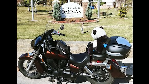 Enchanta rides to Parrish & Oakman Alabama