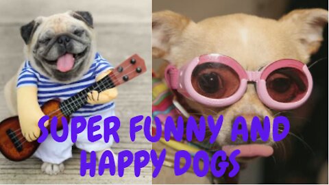 Super funny and happy dogs