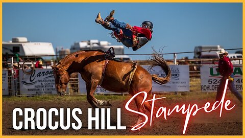 🔴 Unforgettable ACTION: 2023 Crocus Hill Stampede